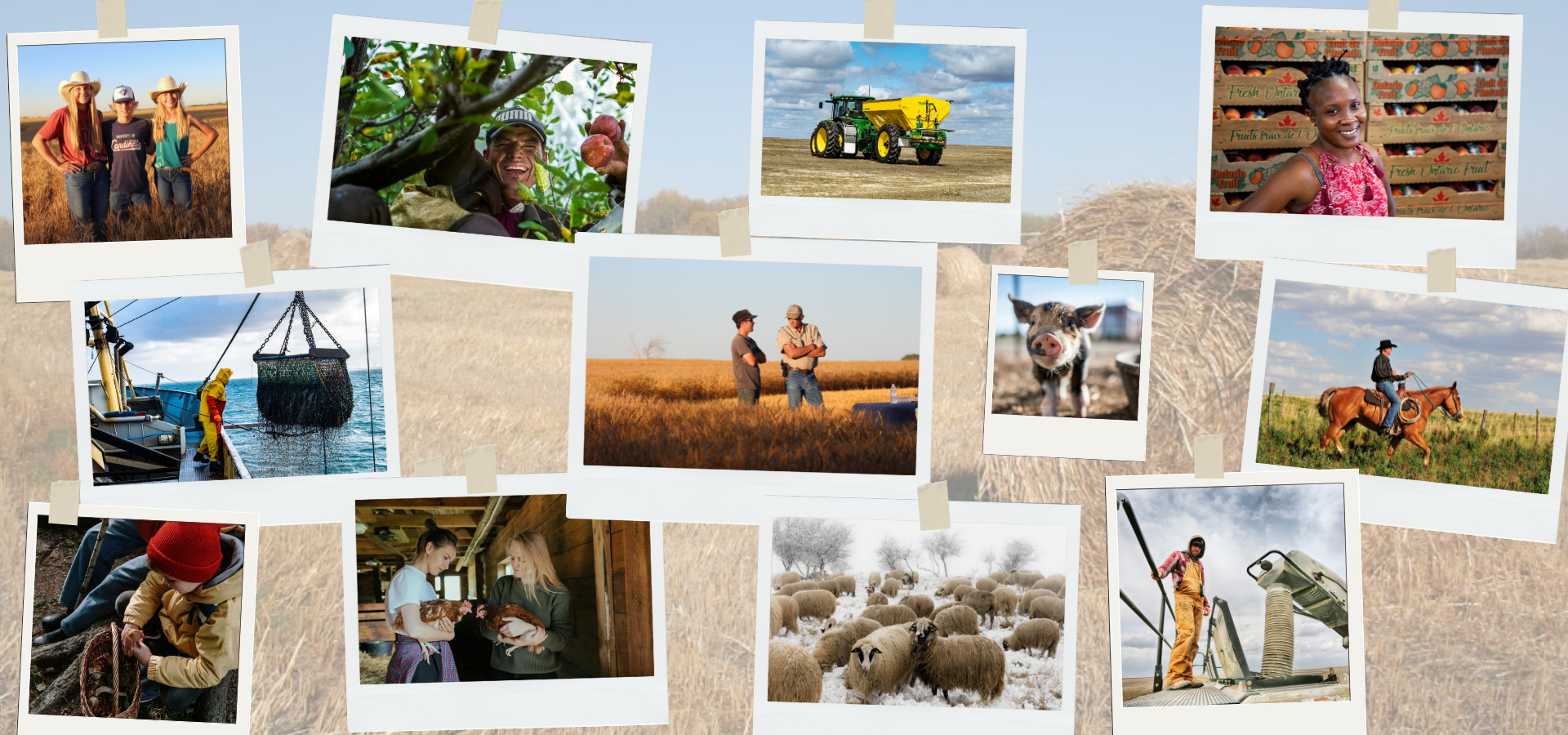 Collage of diverse producers across Canadian agriculture—farm, ranch, greenhouse, and fishing.